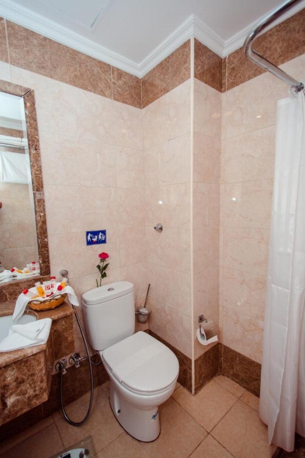 Sama Al Deafah Hotel image 9